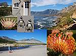 Casa de vacaciones Dreams, Sudáfrica, Cabo Oeste, Pringle Bay