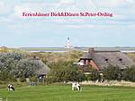 Casa de vacaciones ReetdachFerienhaus Strandperle, Alemania, Schleswig-Holstein, St. Peter-Ording-Mar del Norte, St.Peter-Ording